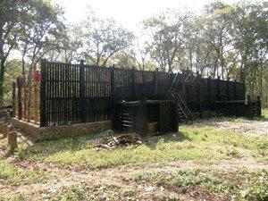 Tiger Enclosure.