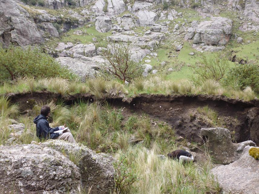 Evaluation use of natives plants for restoration of gully.