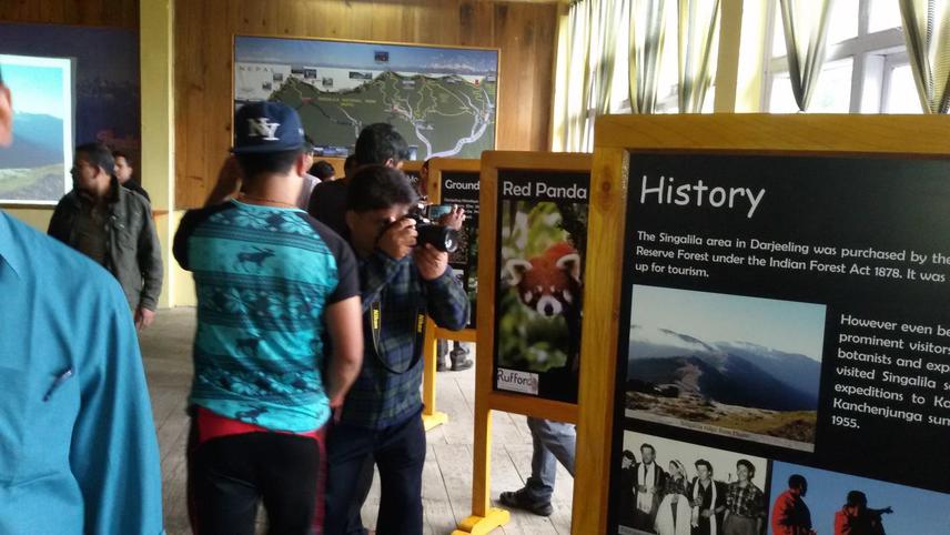Posters being viewed by the participants.