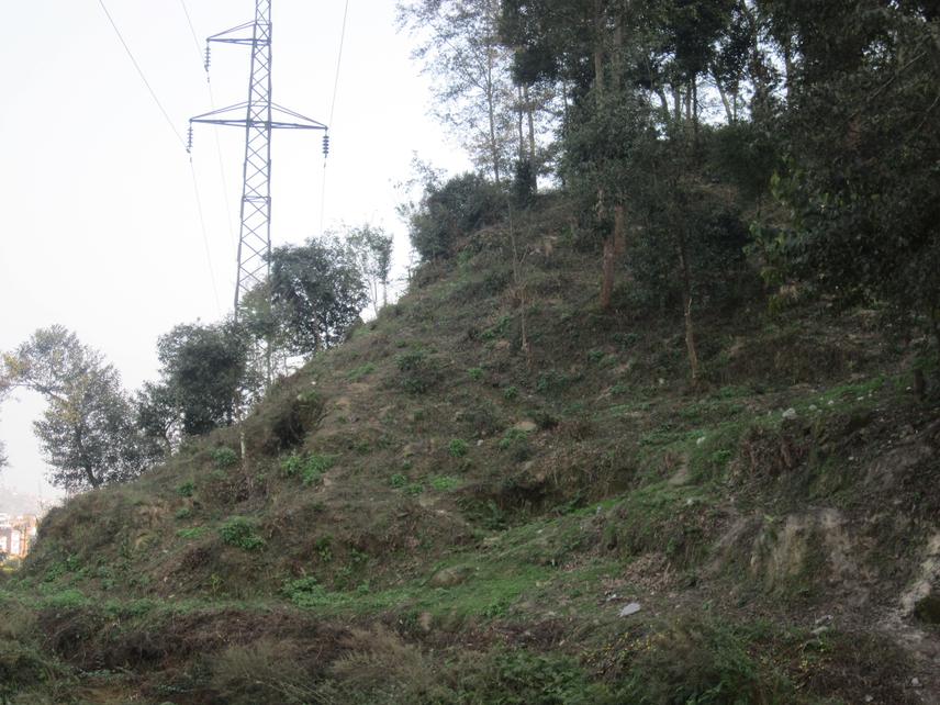 Intervention areas, Balkumari CFUG, Kavre.