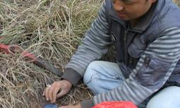 Project image