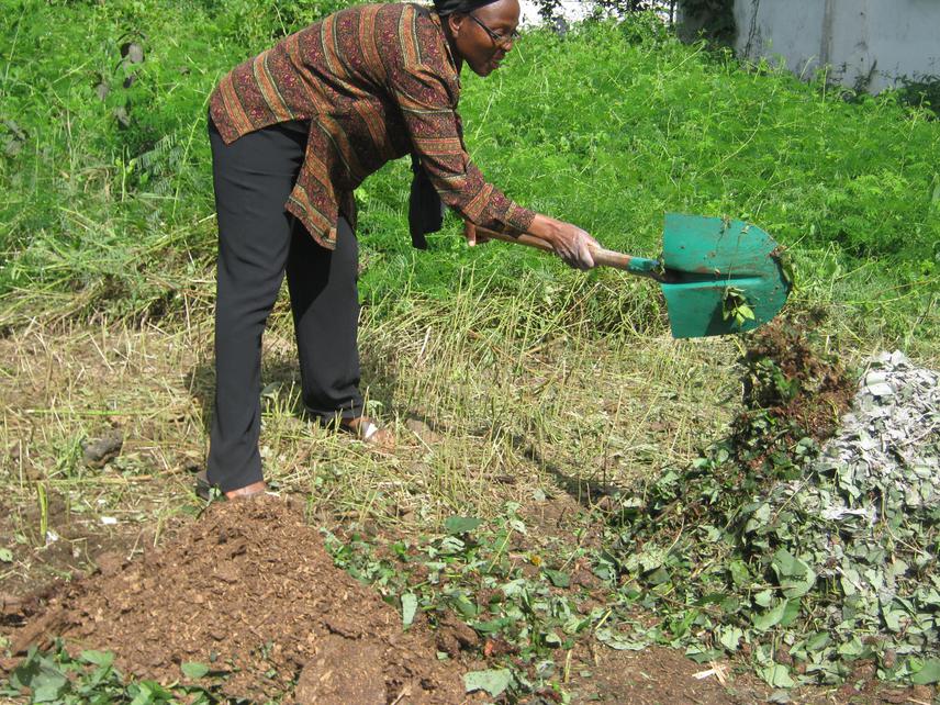 Jetro during compost preparation.