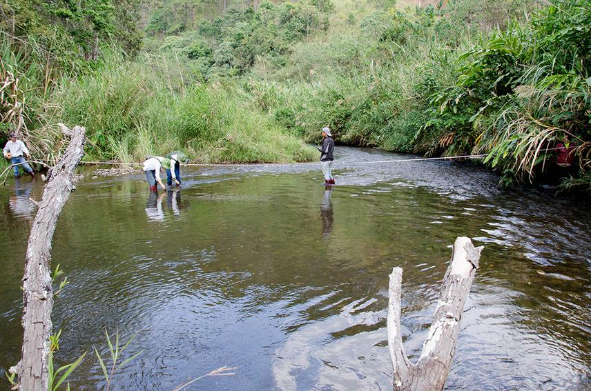 Survey of fish habitat.