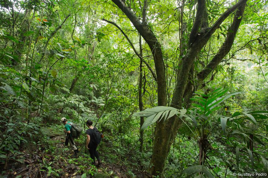 In the field with the guide (around 500 m above sea level, and 4 km deep into the forest). ©Gustavo Pedro, Tres Picos State Park