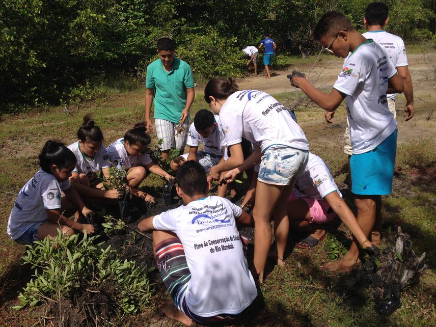 Mangrove reforest_2.JPG