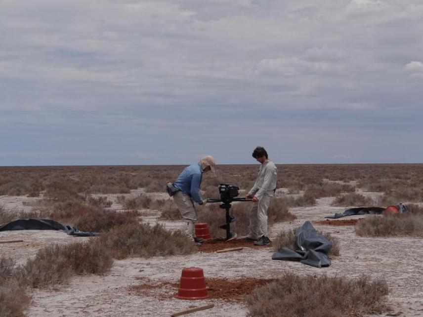 Setting the traps to capture lizards and snakes in Salinas Grandes reserve. The drilling machine was bought with our first RSG!!