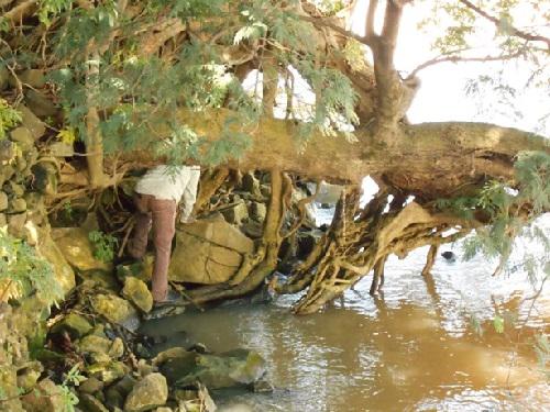 Searching of signs of otters.