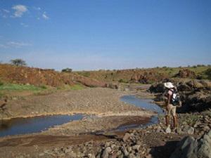 Basilia, searching for the sampling point along one of the major river ( Uniab River).© Jeff Muntifering