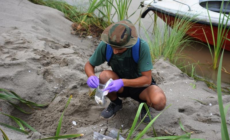 Collecting samples for population studies.