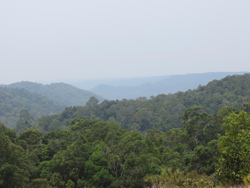 Landscape.