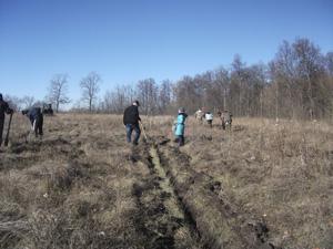Our first testing plot for planting oak is an abandoned pasture invaded by alien weeds and potentionally covered by oak woodlands in the past.