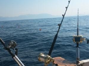 Fishing equipment for the fieldwork.