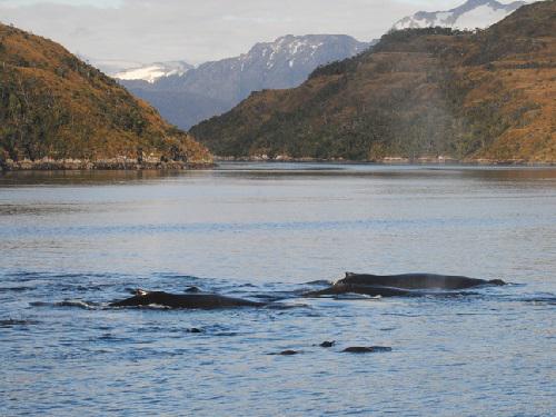 Marine Area.