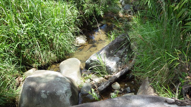 One of the freshwater streams in the area which provides  water for the community.