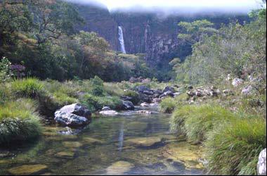 Habitat of the Brazilian Merganser at Serra da Canastra.