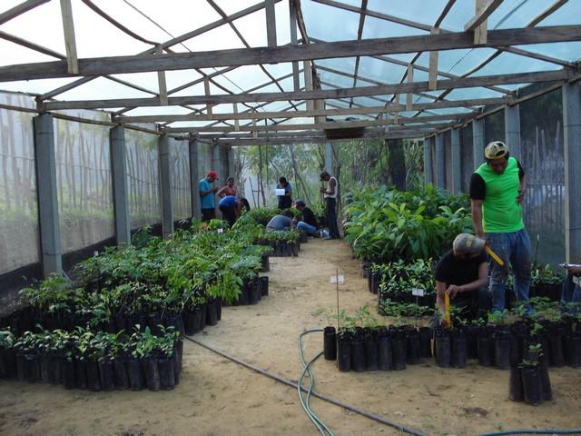 Tree nursery house and monitoring tree species