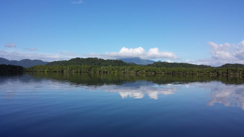 Ilha do Cardoso.