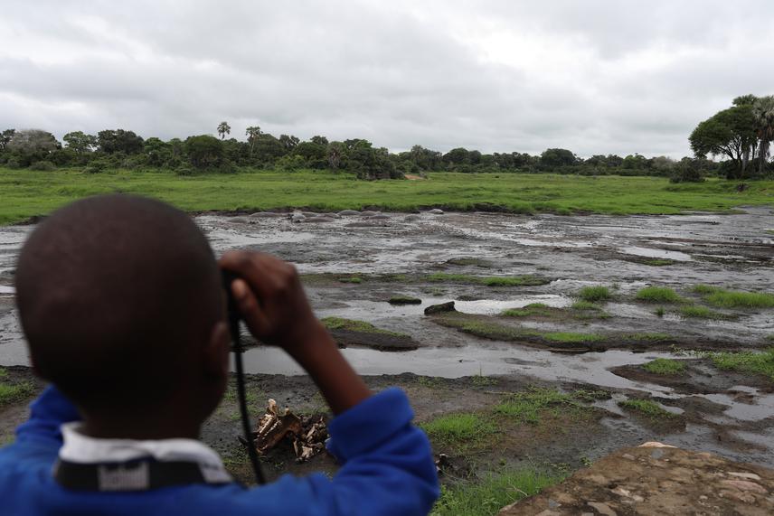 Youth observing Hippos during a day in the park.