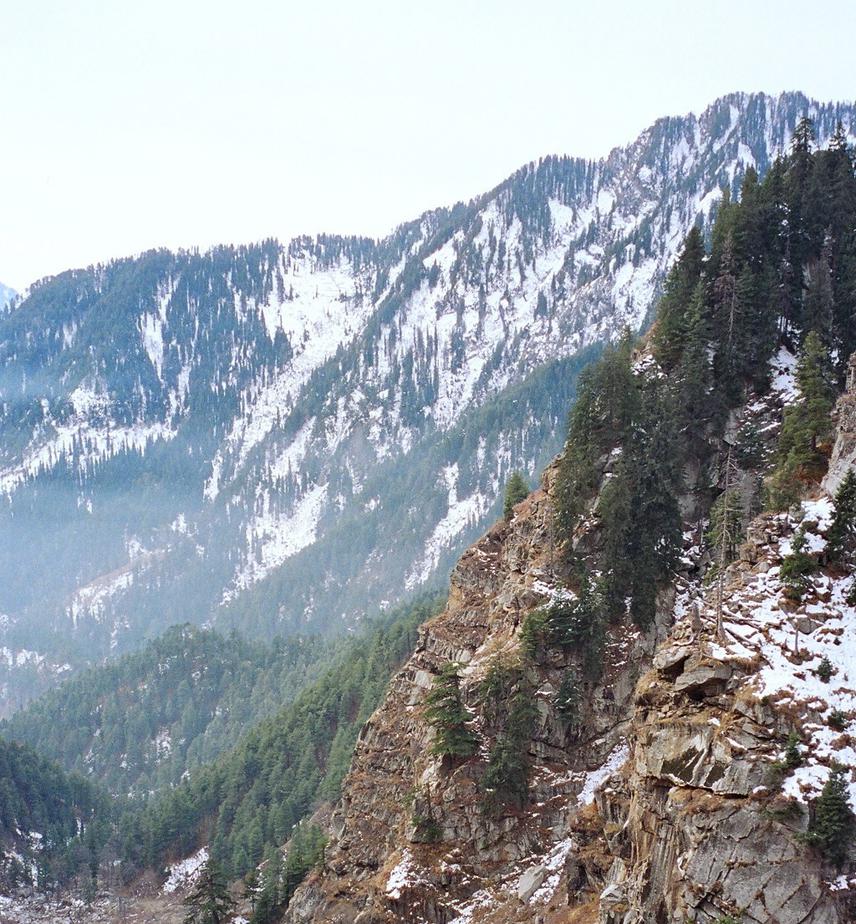 Markhor habitat in the study area (Limber Wildlife Sanctuary).