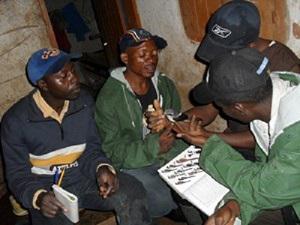 Project team identifying a captured bird.