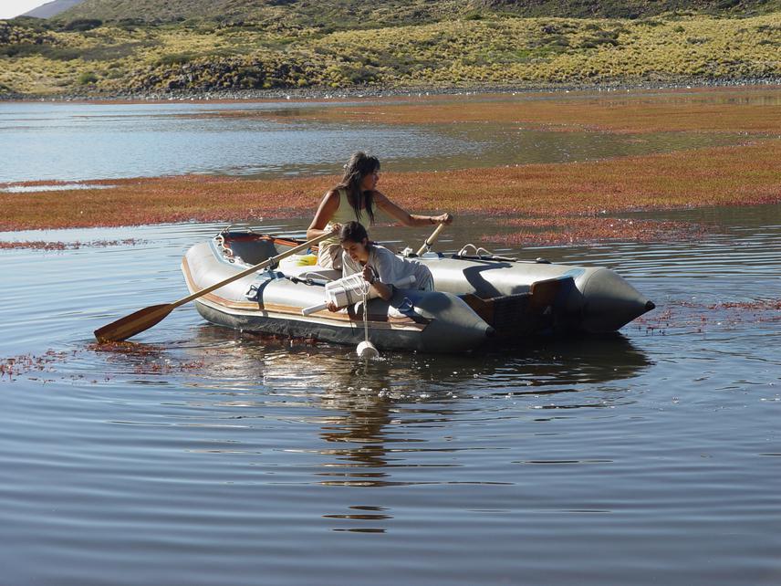 Samplings in shore of Laguna Verde (Laguna Blanca National Park) have shown that the species prefer  coarse fragment (gravel, boulder and bedrock) and areas with vegetation (for large Myriophyllum quitense).