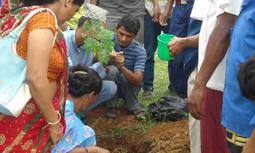 Project image
