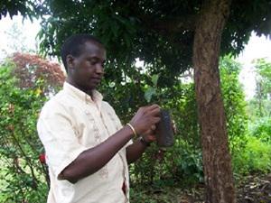 Demonstration of how to remove plastic seedling pot during transplantation.
