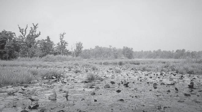 Ghodaghodi Lake.