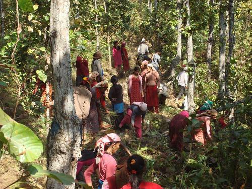 Fire line construction in Bharkhore Community Forest.