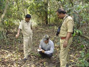 Researcher of Aaranyak giving hands on training to forest staff.