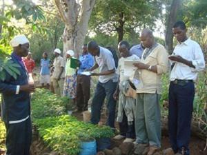 An elder discusses roles of indigenous trees in rehabilitation of degraded ecosystems near Kirwaki sacred site in Tharaka.