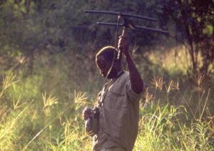 An enumerator ground tracking collared elephants.