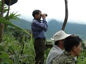 Observation.