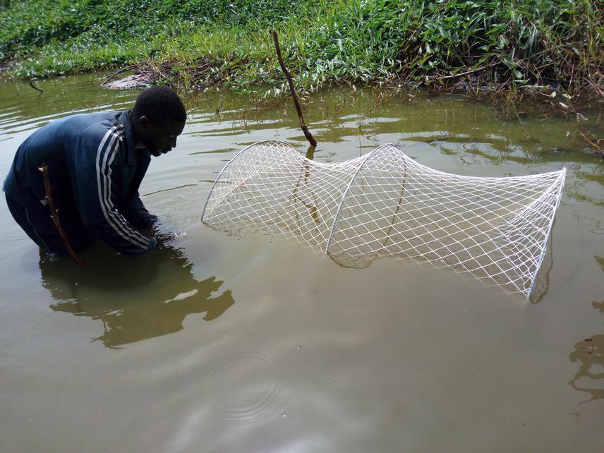 Local field assistant (Amad) helping in setting of hoop trap. © Sulemana Bawa