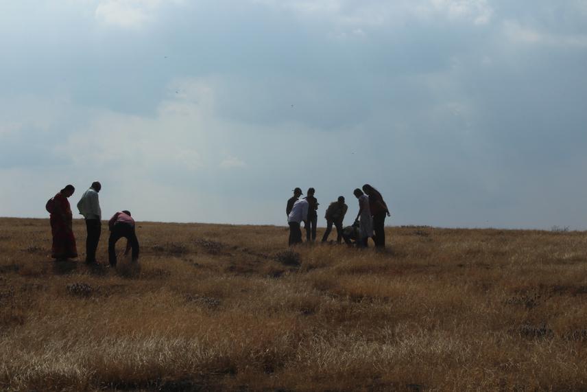Field visit to plateau. © Anup Deshpande, Department of Botany, Goa University
