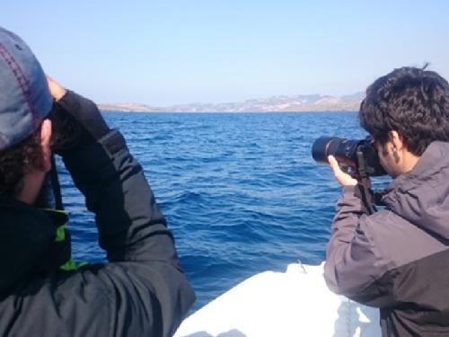 Photo-id survey of the survey team.