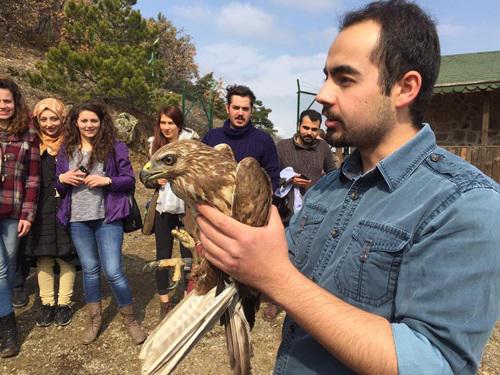 Releasing of a Long-legged buzzard after the treatment.