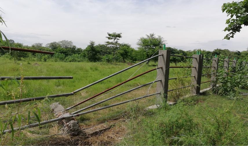 Failure of Human Wildlife Conflict in buffer zone area.