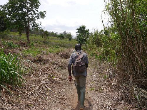 Mapping project site.