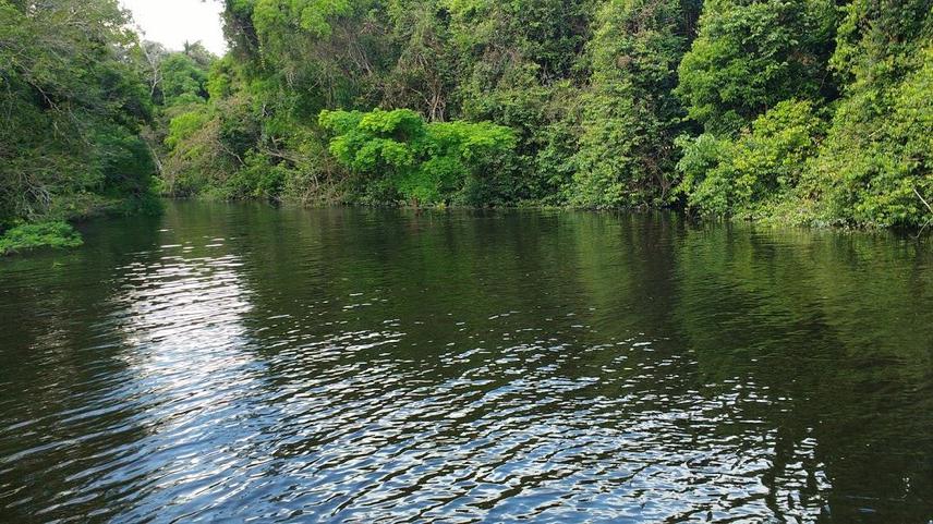 The right side of the archipelago with the Black River.