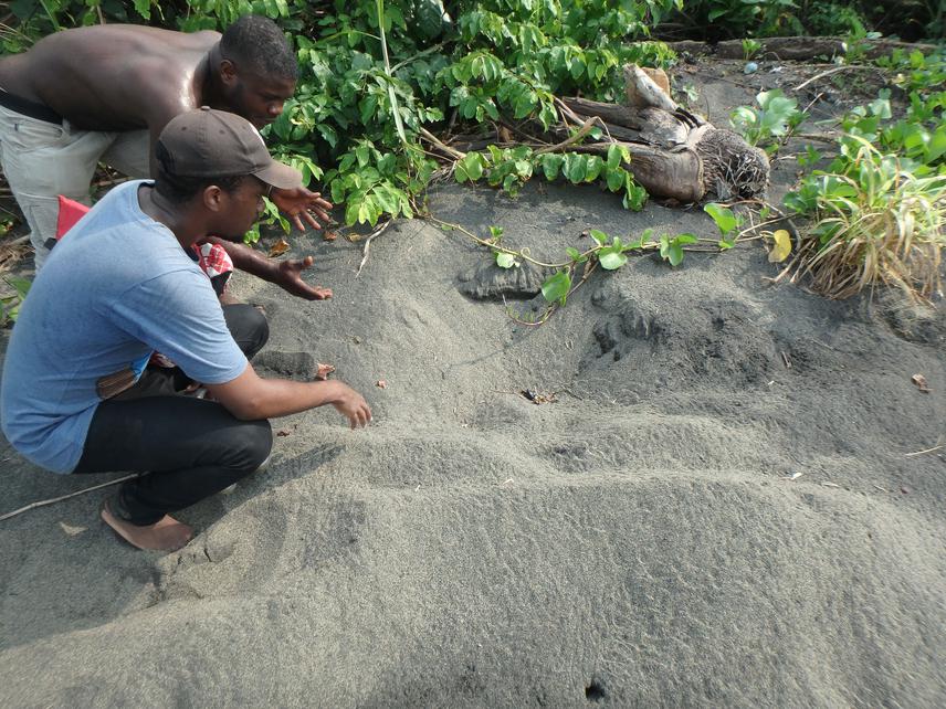Fisherman presenting sea turtle nest to the technicians.