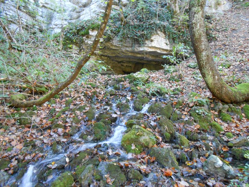 Habitat of Belgrandiella bozidarcurcici.