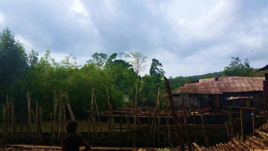 Encroachment by local people into the mangroves for building residential homes.