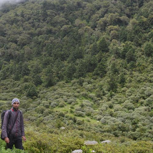 Musk Deer Habitat in the background.