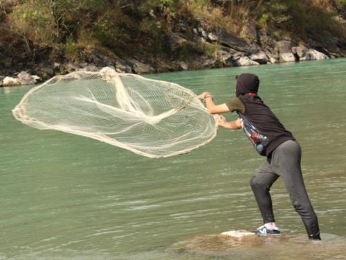 Showing use of cast netting to collect the samples.