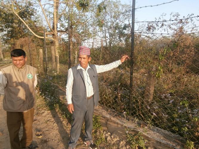 Chair of a buffer zone user committee briefing about mess cum barbed wire fence constructed in the boundary of Ghailaghari Community forest to prevent leopards entering human settlement.