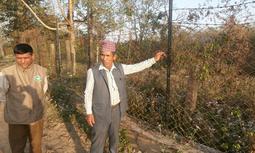 Project image