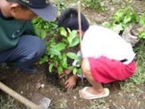 Tree planting.