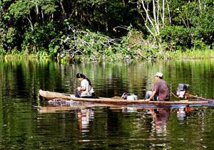 Giant river otter census on Samiria River. Pacaya-Samiria National Park, Peru.