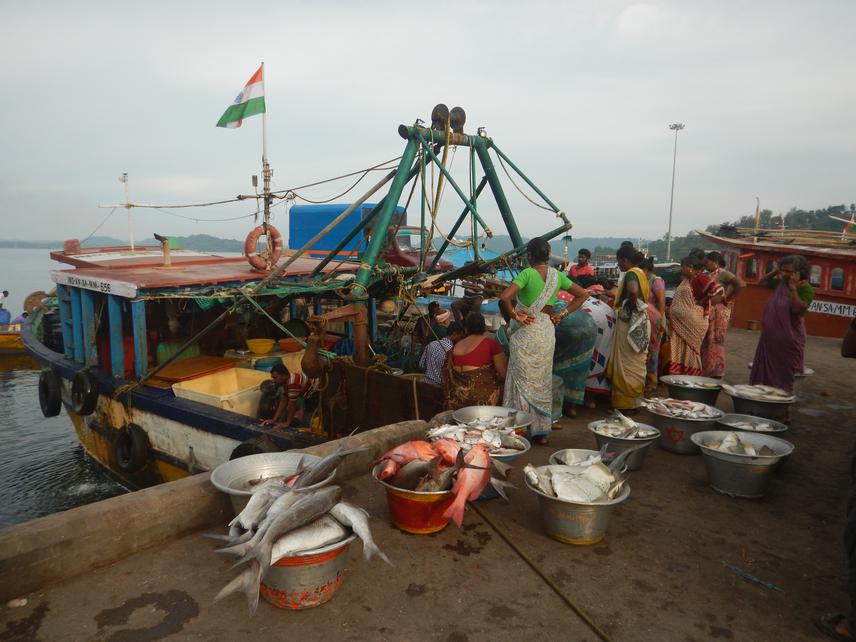 Fisher folk wait for fish catch caught from the trawlers. © Zoya Tyabji.